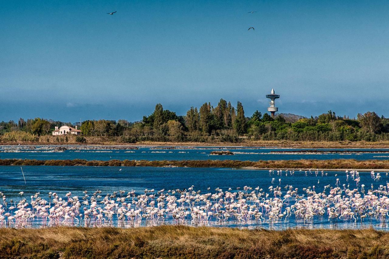 Villa Gloria Appartamento E01 Rosolina Mare Kültér fotó